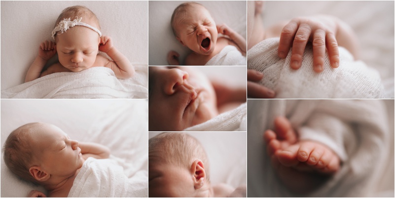 Posed Newborn Photography by Seattle Newborn Photographer, Meg Newton Photography