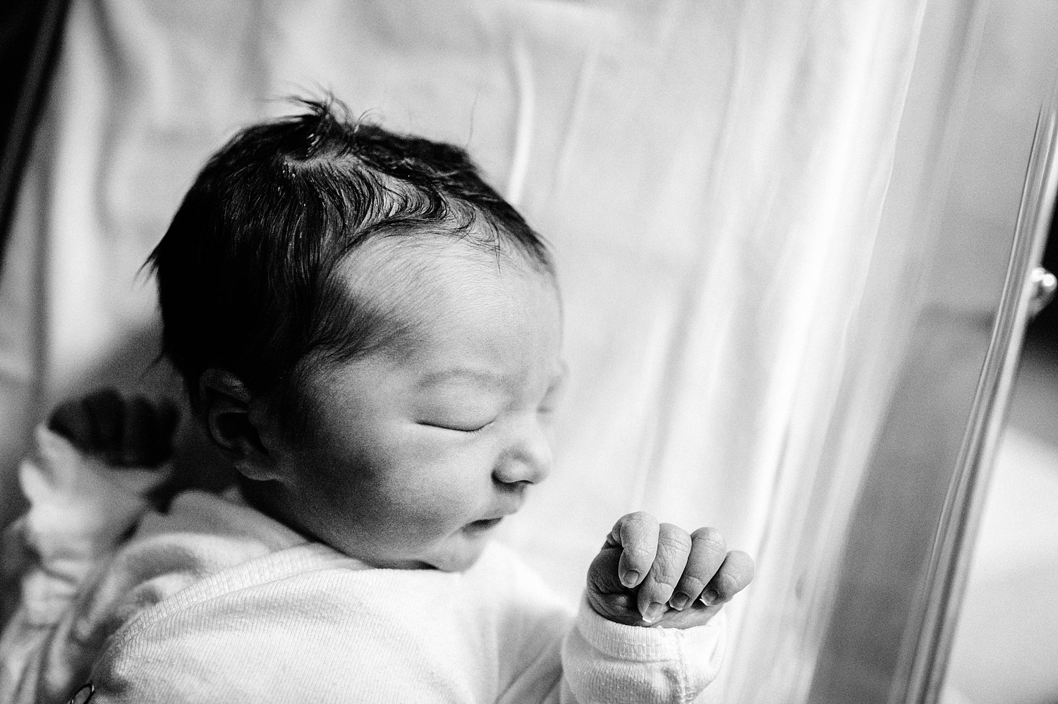 Olympia Newborn Photographer | Meg Newton Photography