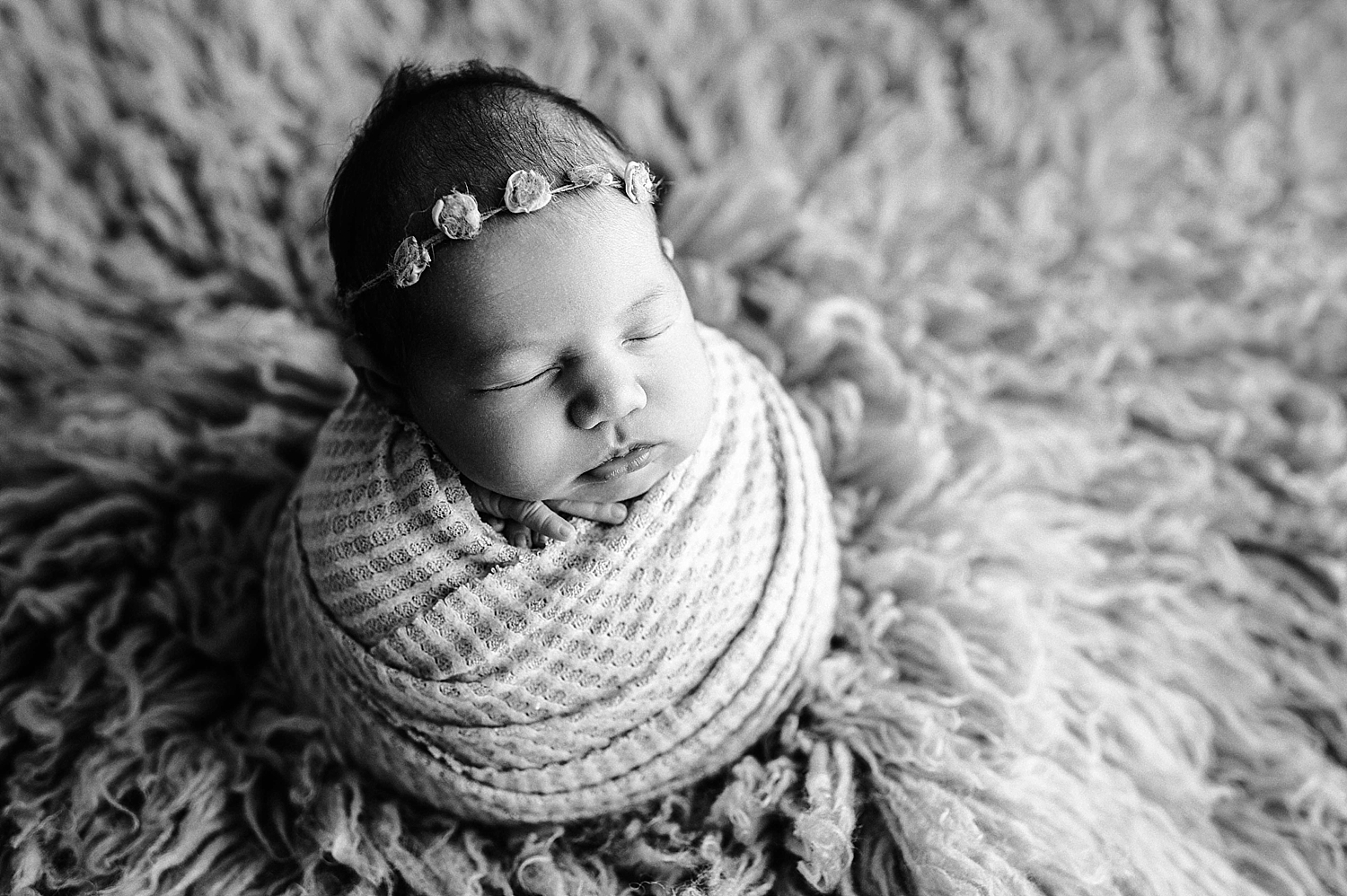 Studio Newborn Photographer | Meg Newton Photographer