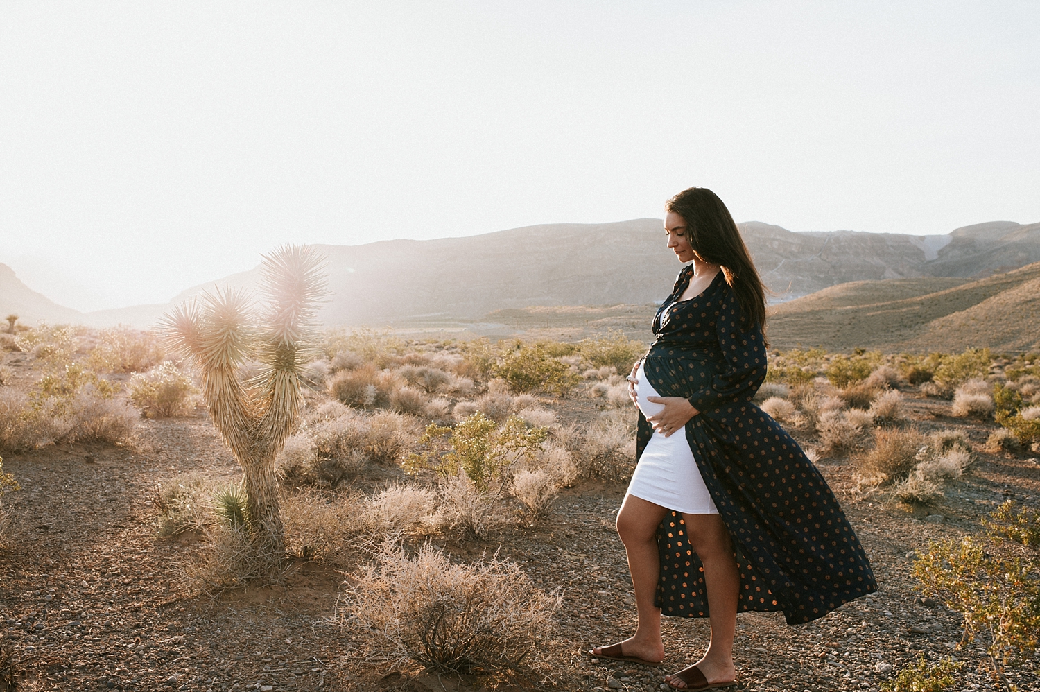 Las Vegas Red Rock Canyon Maternity Session. Photographed by Meg Newton Photography. 