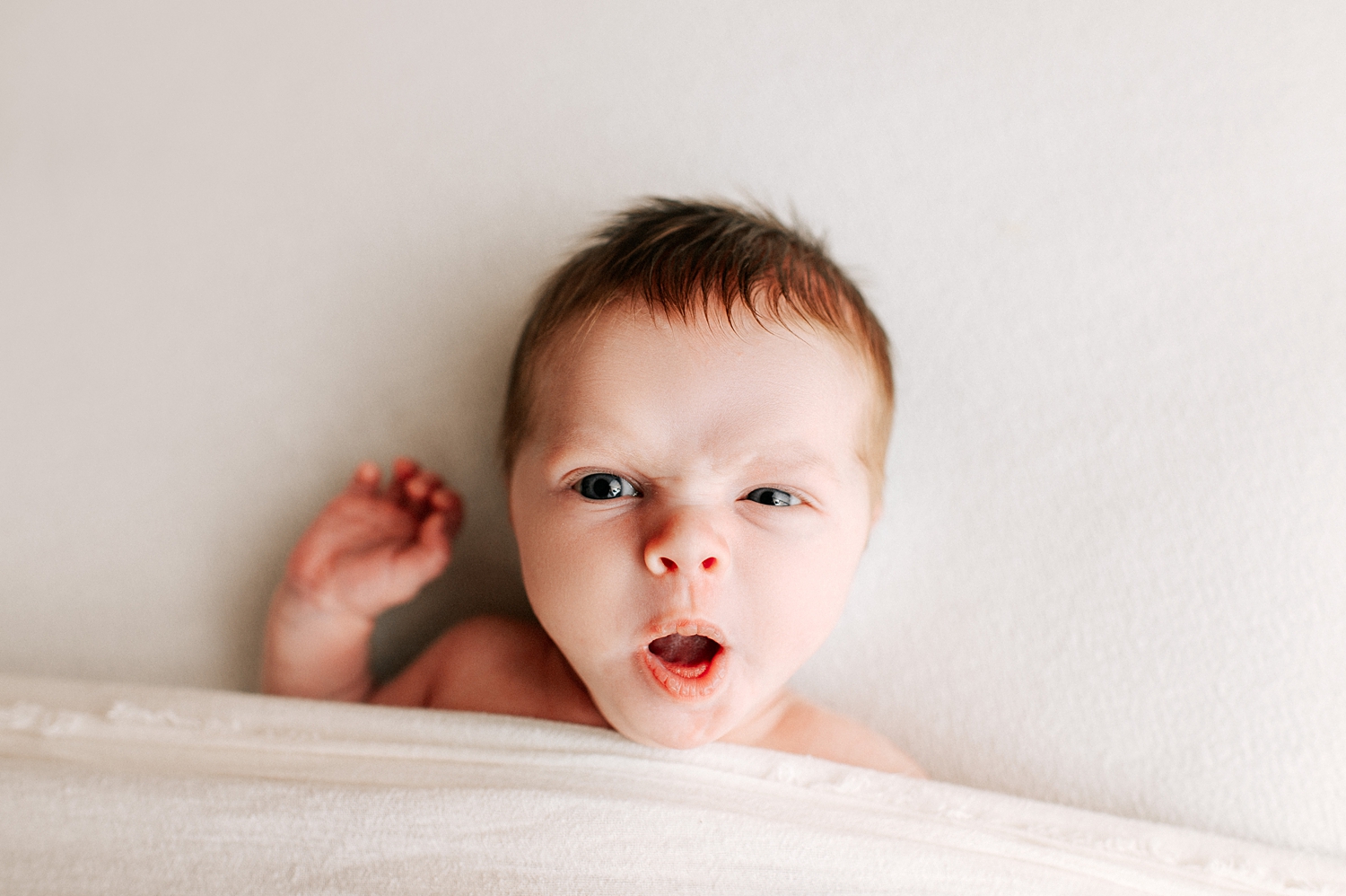 Baby wide-eyed and alert for newborn session with Tacoma Baby Photographer, Meg Newton Photography 