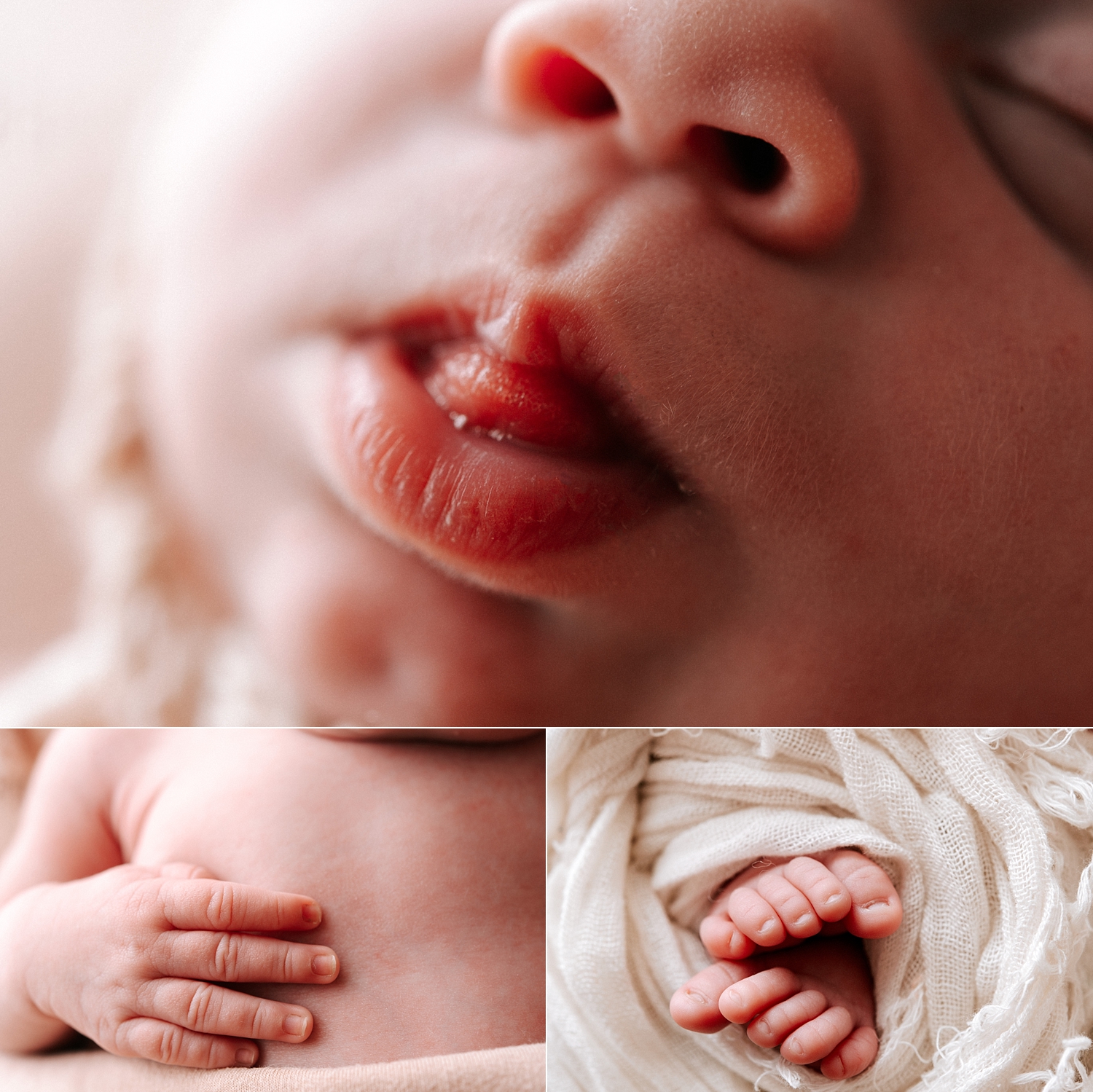 Baby details photographed by Tacoma Newborn Photographer, Meg Newton Photography 