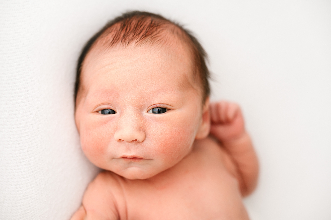 Newborn baby boy stares wide eyed into camera. Photo by Meg Newton Photography.