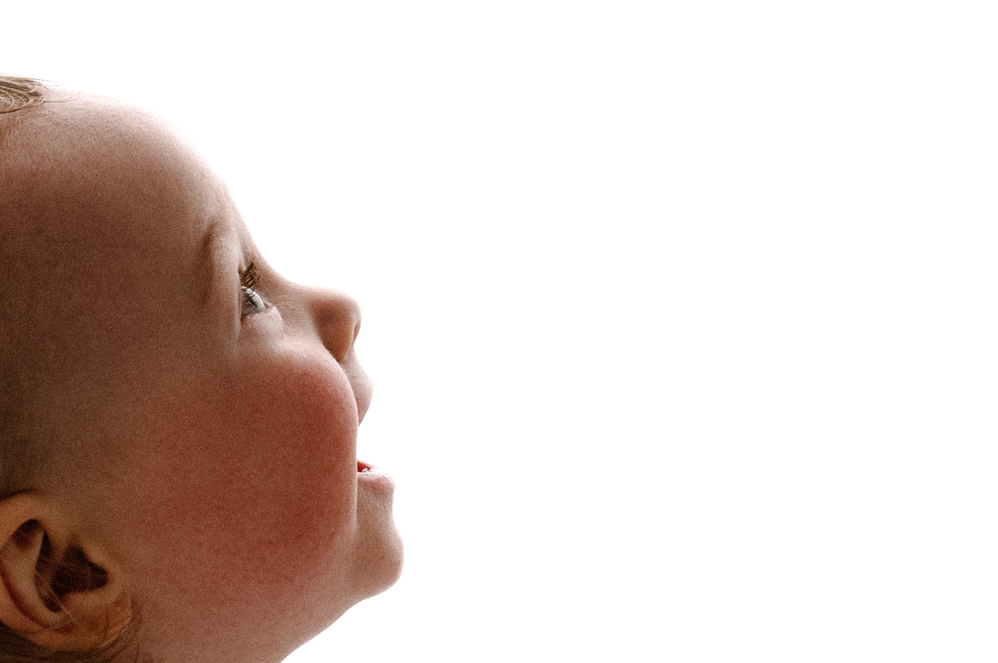 Up close image of baby profile. Photo by Meg Newton Photography.