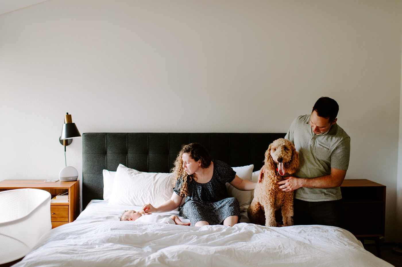 Goldedoodle and family take lifestyle newborn photos in Seattle. Photo by Meg Newton Photography.