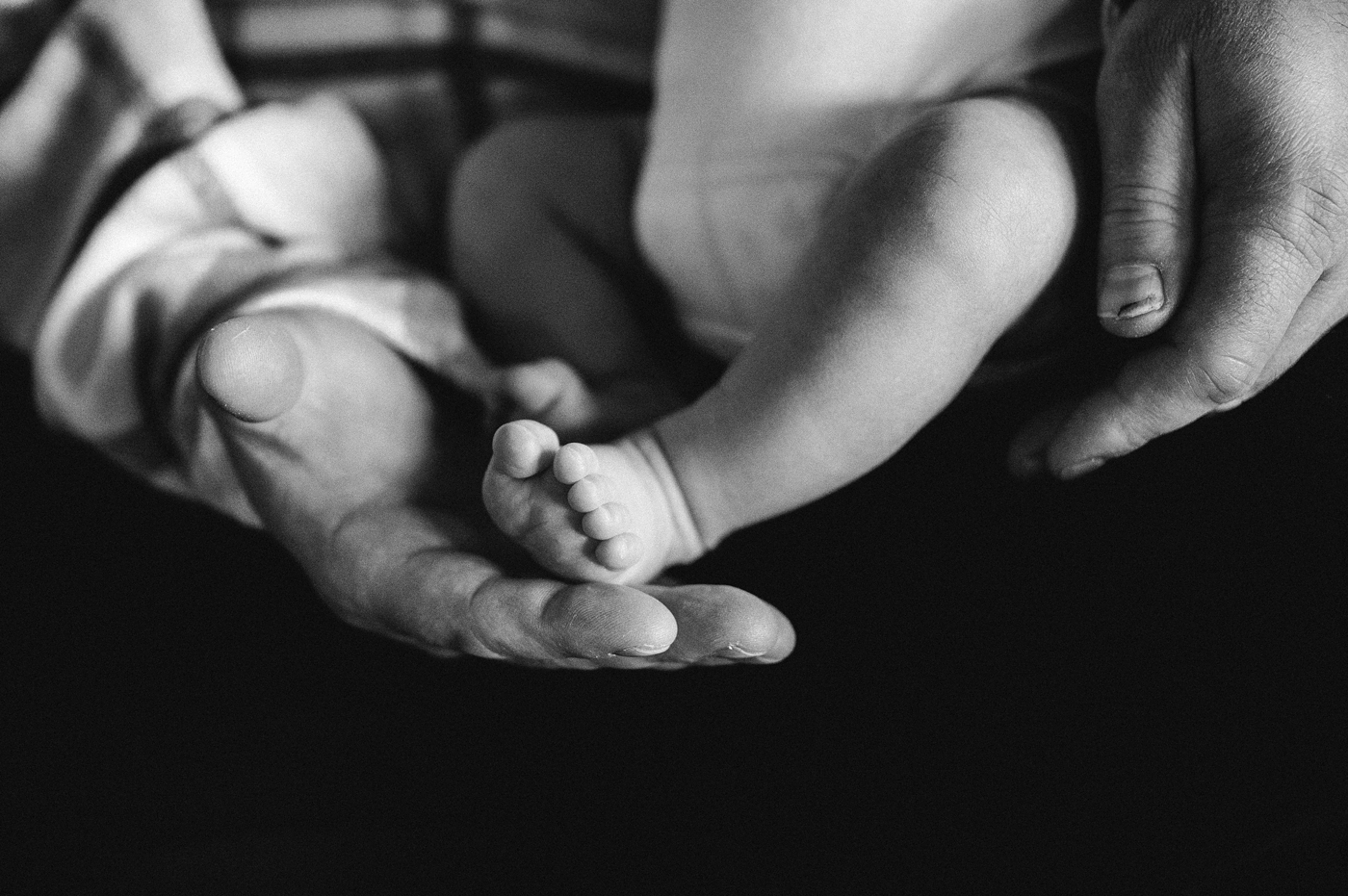 Black & White detail shot of baby boy toes. Photo by Meg Newton Photography.