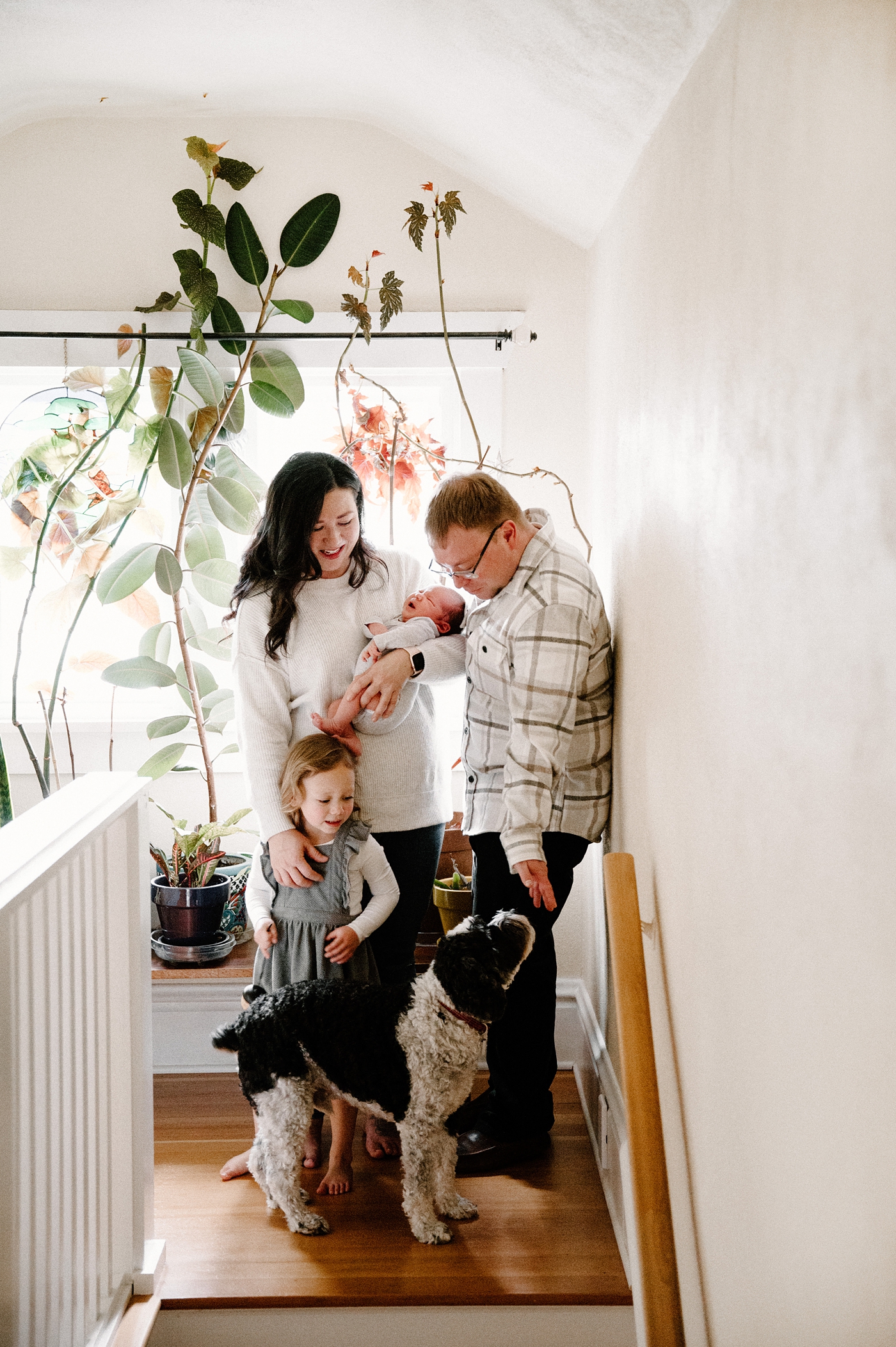 The whole family gathers at the top of the stairs in front of a wall of plants during in home newborn session. Photo by Meg Newton Photography.