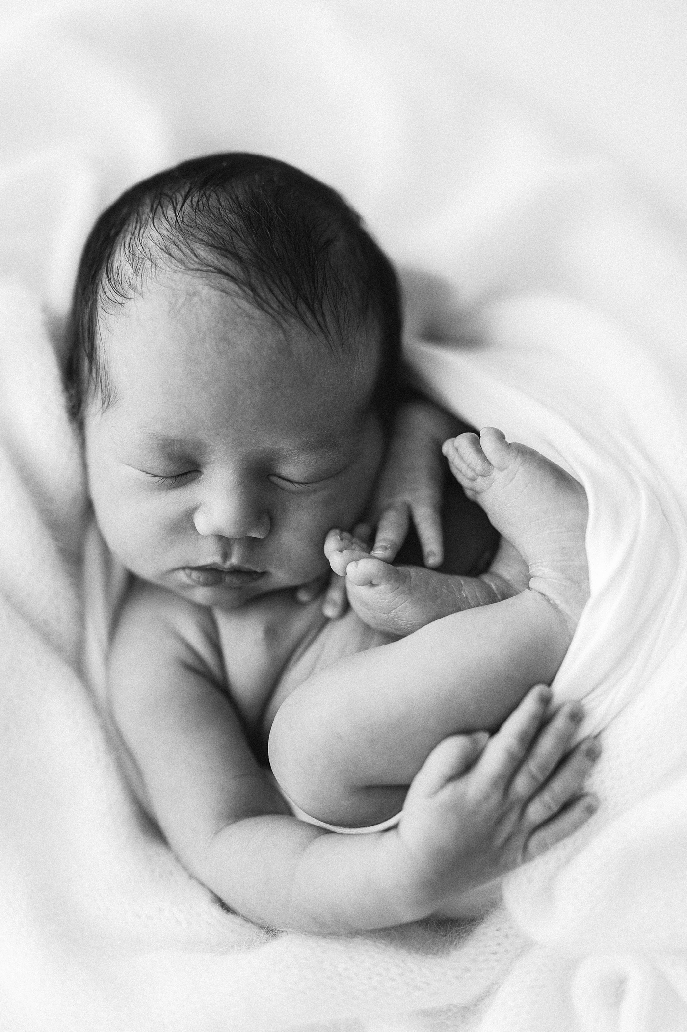 Baby lays curled up during Washington studio newborn session. Photo by Meg Newton Photography.