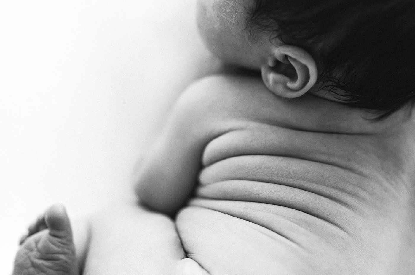 Black and white details of wrinkles on baby's back. Photo by Meg Newton Photography.