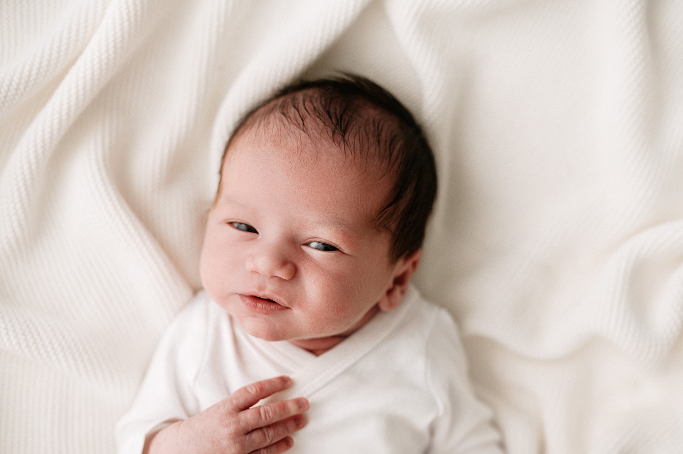 Baby makes eye contact with camera during in studio newborn session. Photo by Meg Newton Photography.