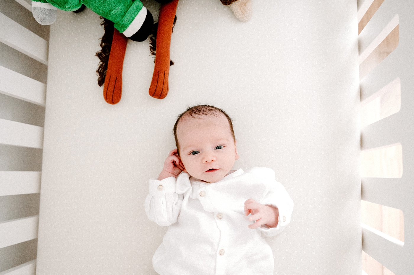 View of baby boy in his crib during newborn session. Photo by Meg Newton Photography.
