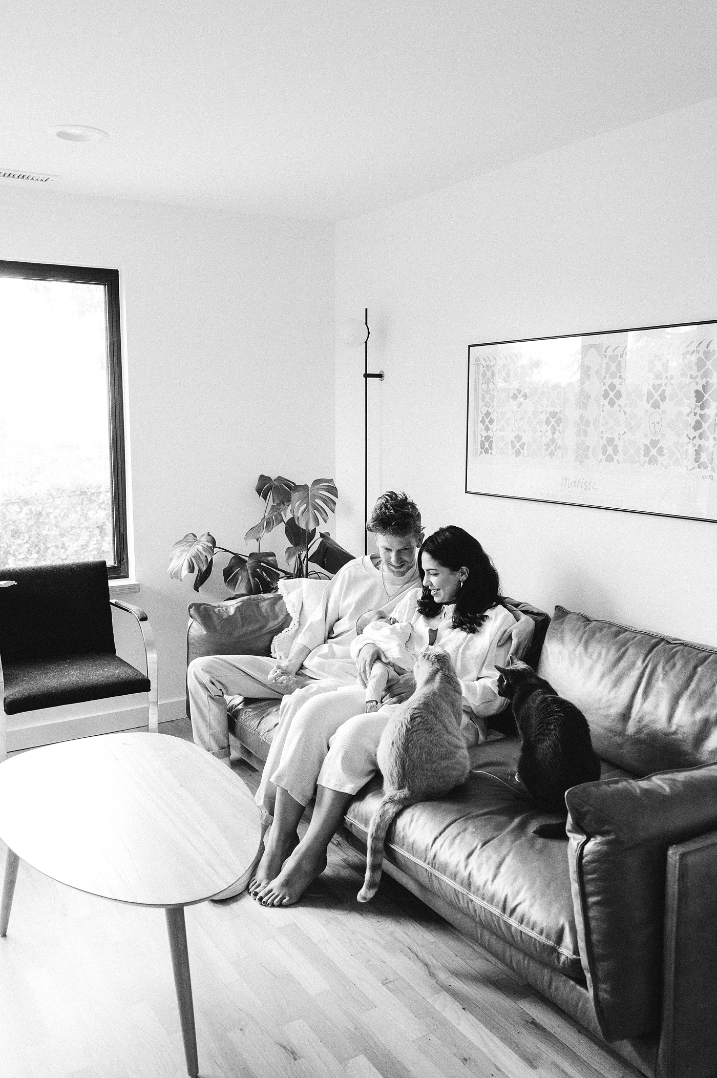 The cats check in on the new baby in family room. Photo by Meg Newton Photography.