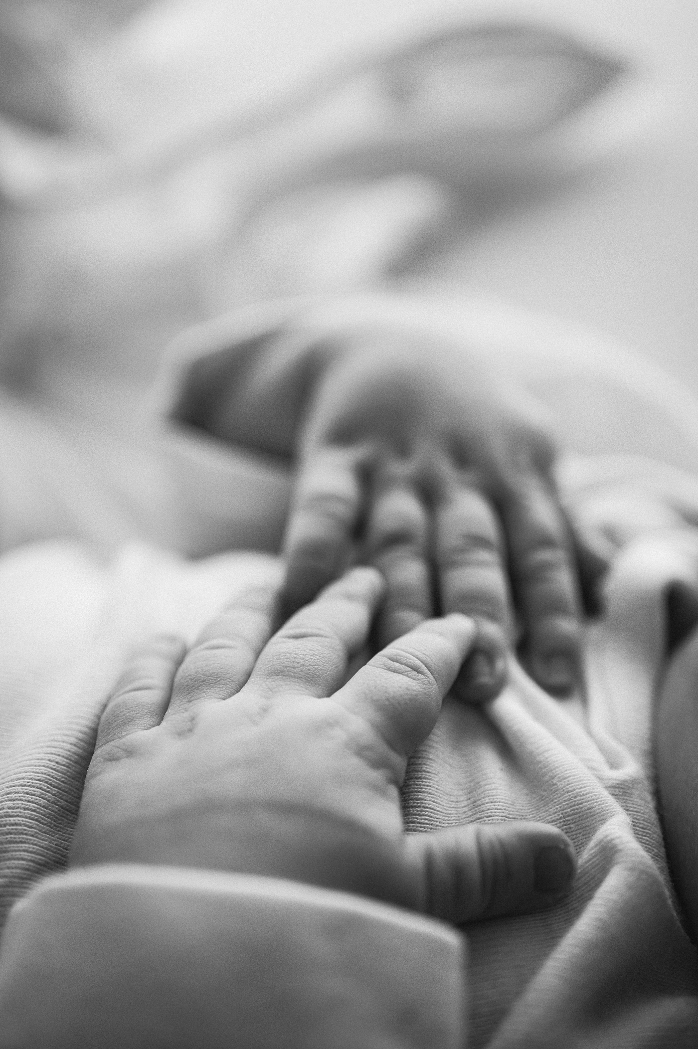 Close up of dimpled newborn hands. Photo by Meg Newton Photography.